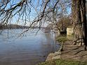 2011-01-17, Pillnitz (22)